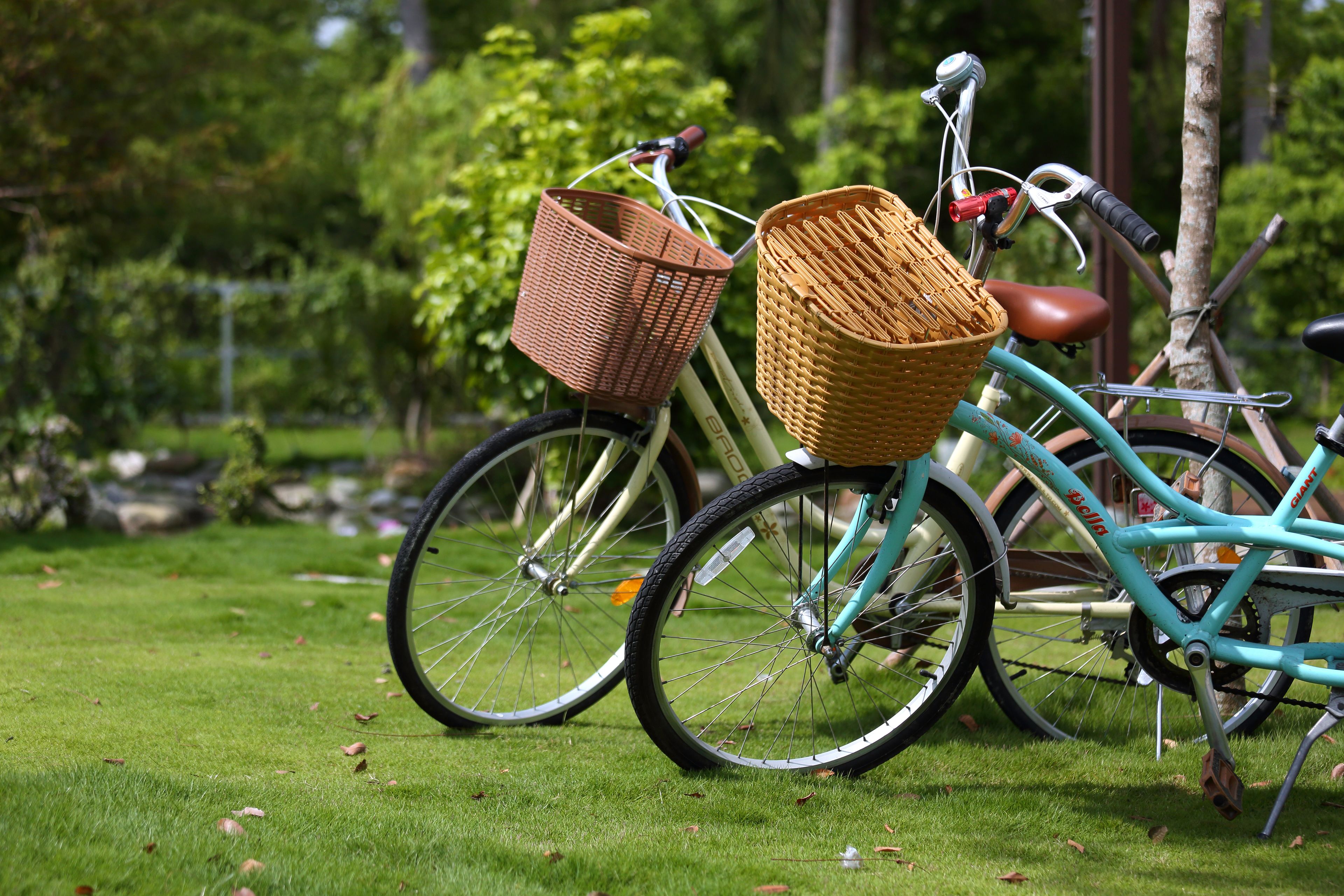 Two bicycles with baskets, parked on a grassy area.