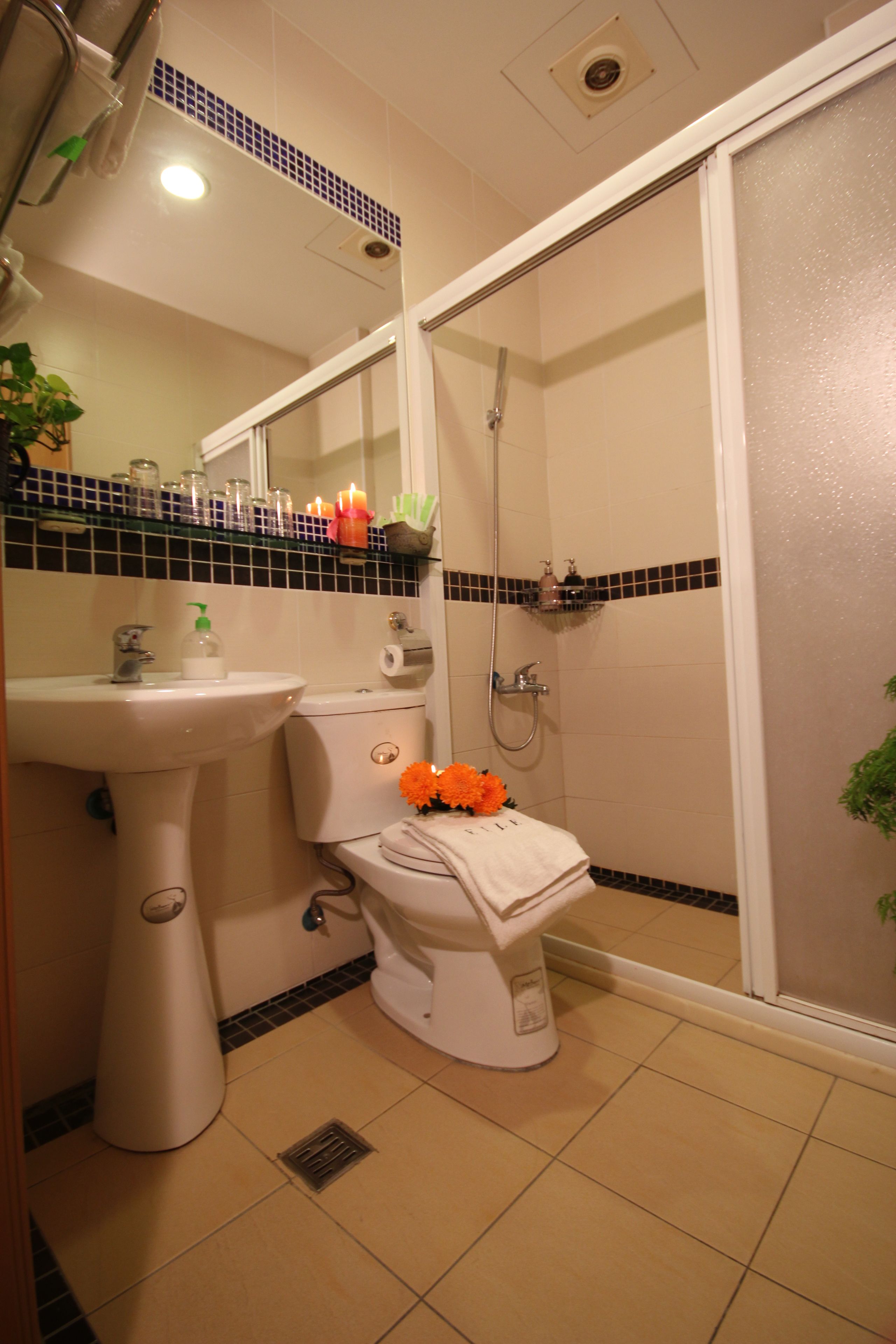 Une salle de bain avec un lavabo, des toilettes et une douche.