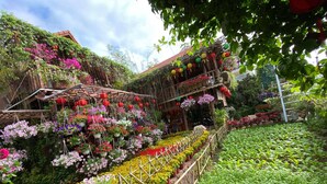 A garden with various potted plants and flowers. - Khamy Riverside Resort (Da Nang)