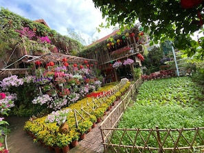 Exterior - Khamy Riverside Resort (Da Nang)