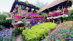 A traditional thatched-roof building with a garden full of colorful flowers and plants. - Khamy Riverside Resort (Da Nang)