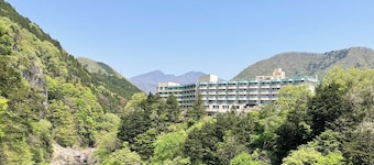 Kinugawa Royal Hotel