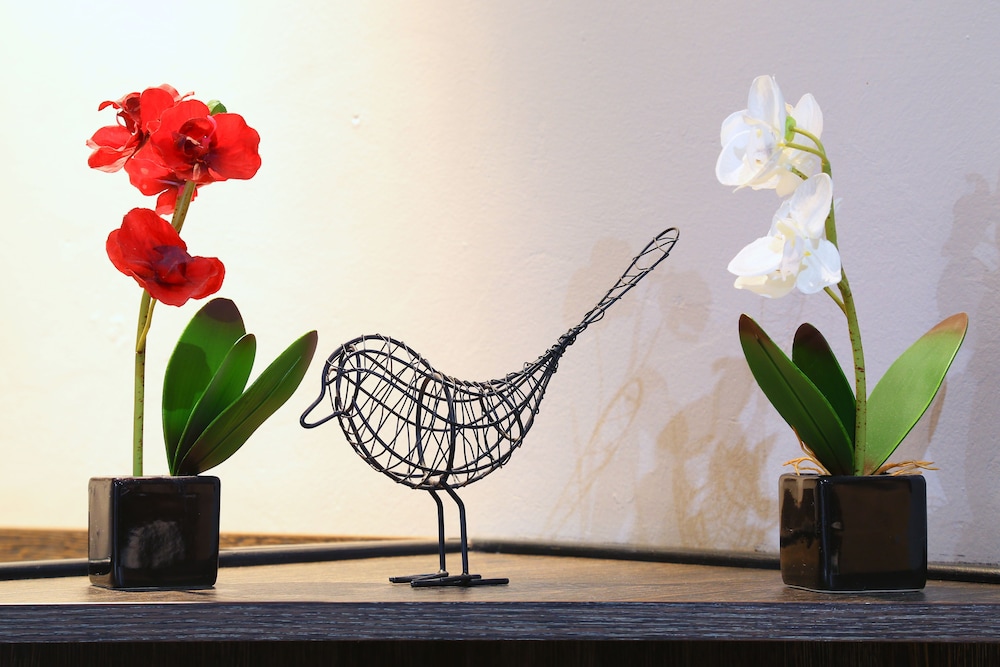 Kalahari Arms Hotel by null