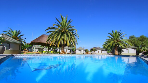 A clear blue pool surrounded by palm trees and thatched-roof structures, likely part of a resort. - Kalahari Arms Hotel (Ghanzi)