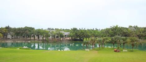 A golf course with a pond, palm trees, and a few buildings in the background.