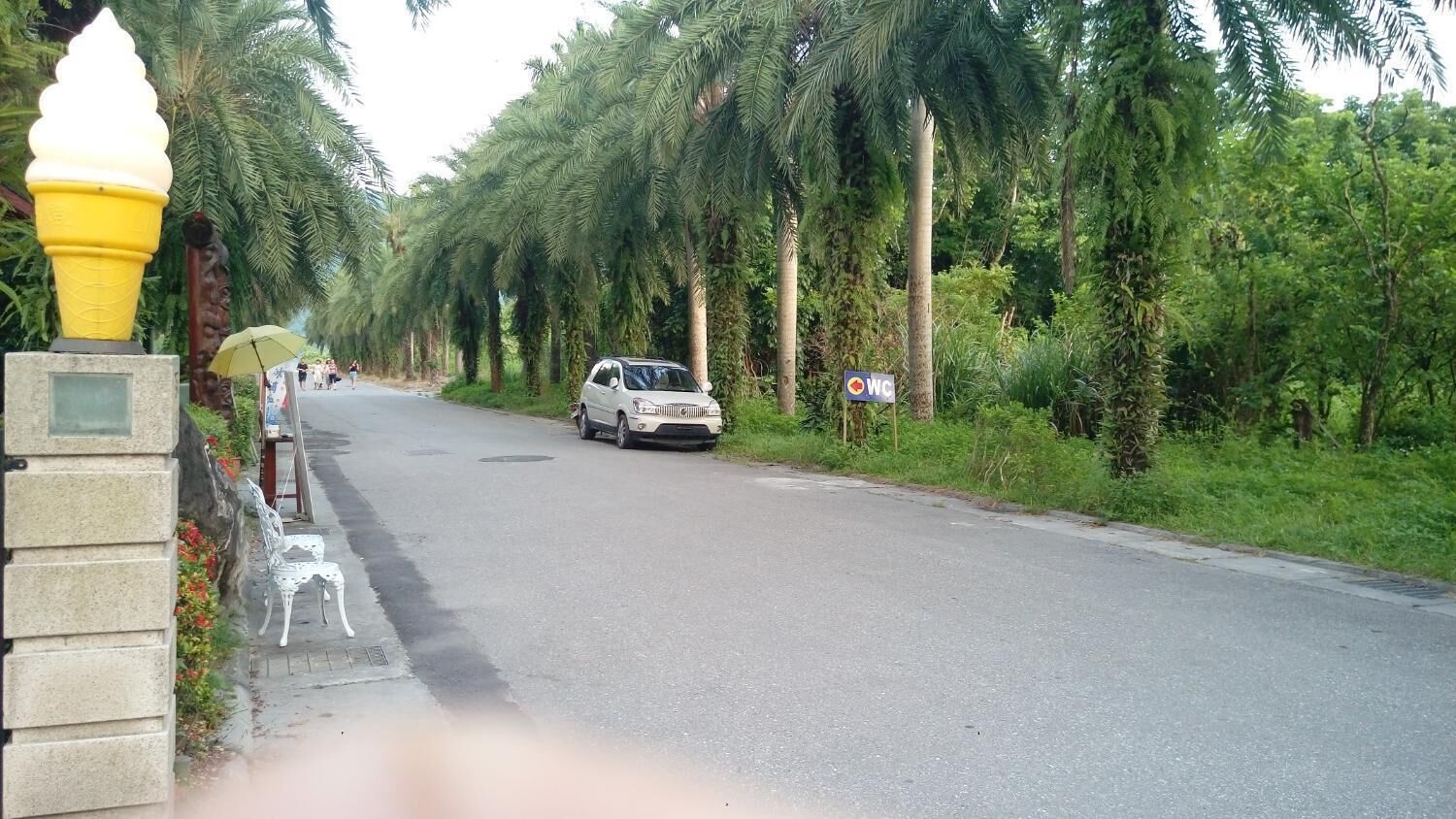 A road lined with palm trees and a parked car.