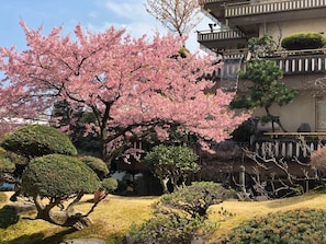 Garden - Atami Kinjokan (Atami)