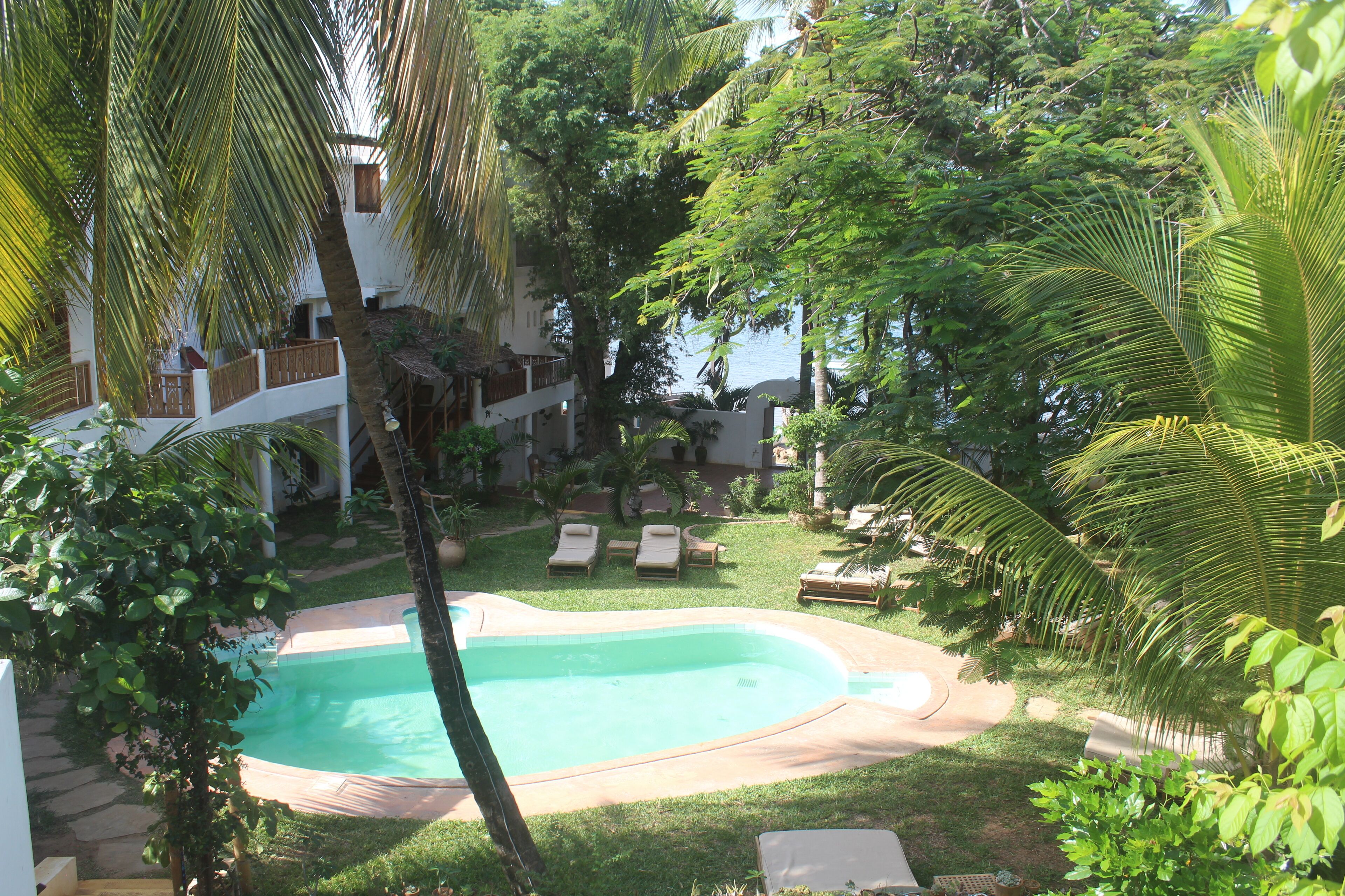 A swimming pool surrounded by lush greenery and lounge chairs, with a building in the background.