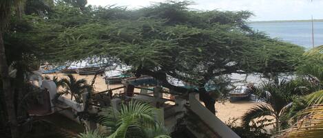 A beachside view with a staircase leading down to the shore, surrounded by lush greenery and palm trees.