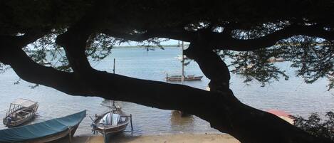 Una playa con barcos amarrados, una orilla arenosa y un árbol grande al frente.