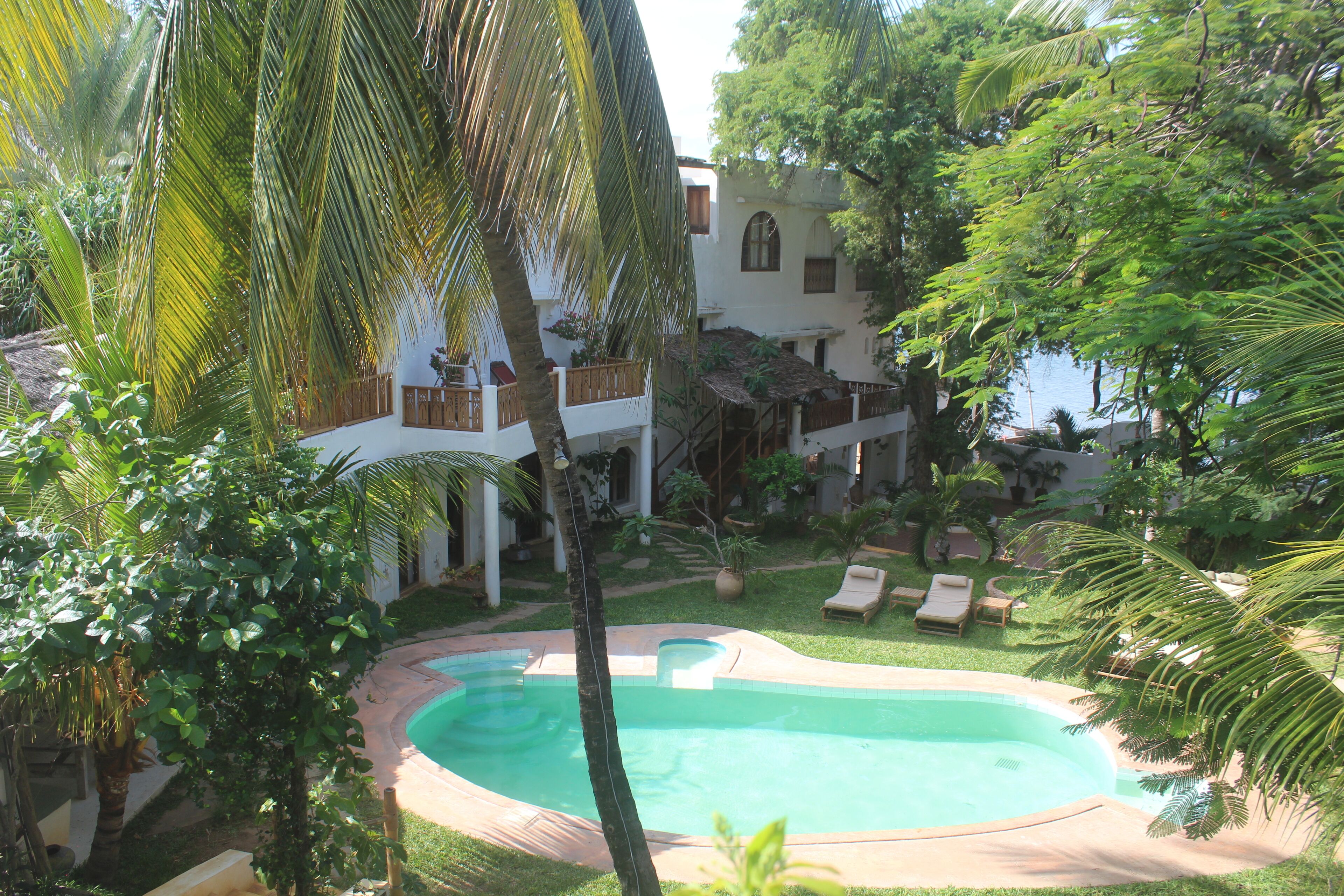A pool surrounded by lush greenery and a white building with balconies.