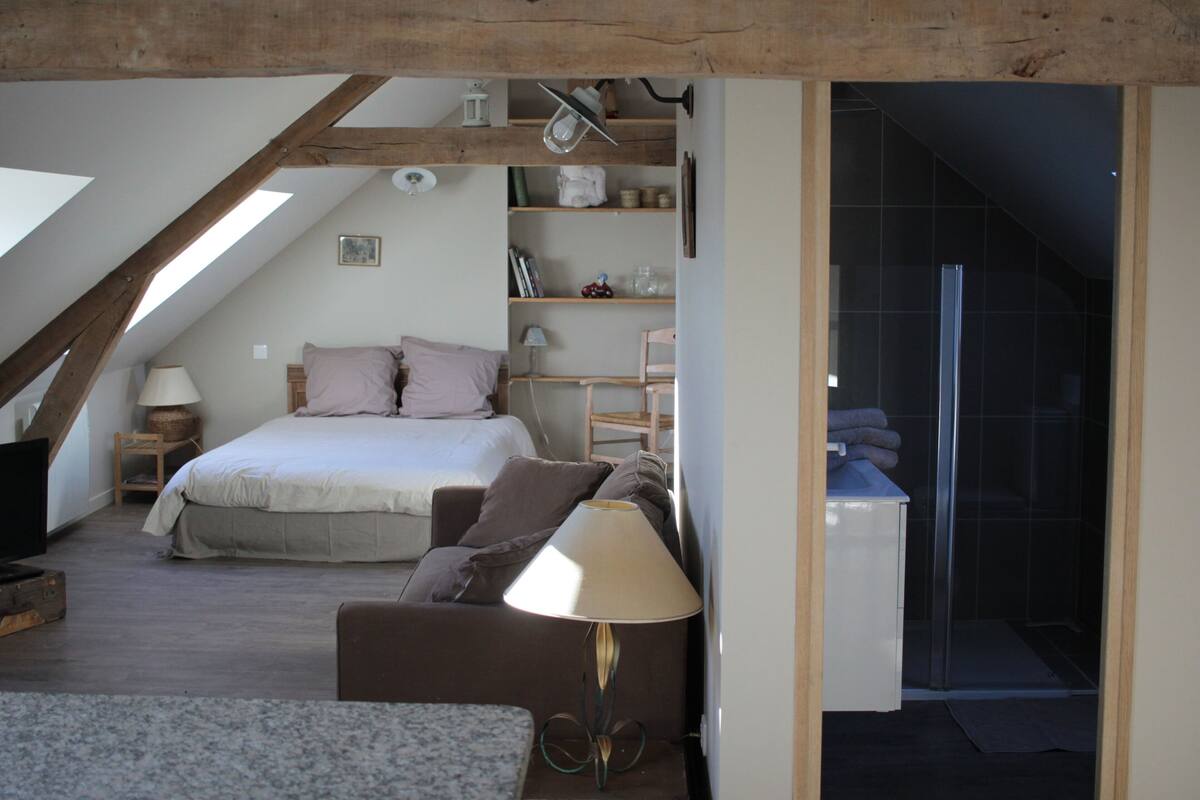 A bedroom with a bed, a nightstand, a lamp, a sofa, and a shower area.