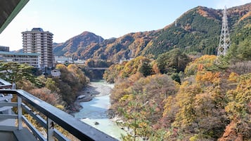 Vue depuis le balcon