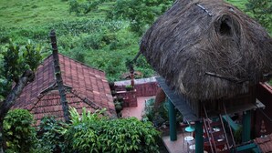 Ein traditionelles Gebäude mit einem Reetdach und einer Treppe, die zu einer Terrasse führt.