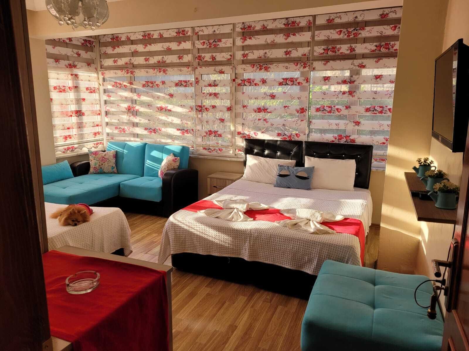 Desk, laptop workspace, free WiFi, bed sheets