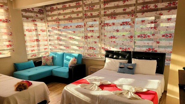 Una habitación acogedora con una cama, un sofá y una mesita.
