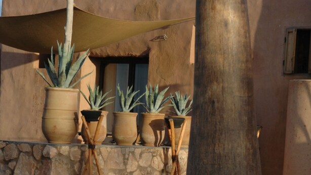 A pool area with a large vase, potted plants, and a stone wall. - La Parenthese de Marrakech (Tameslouht)