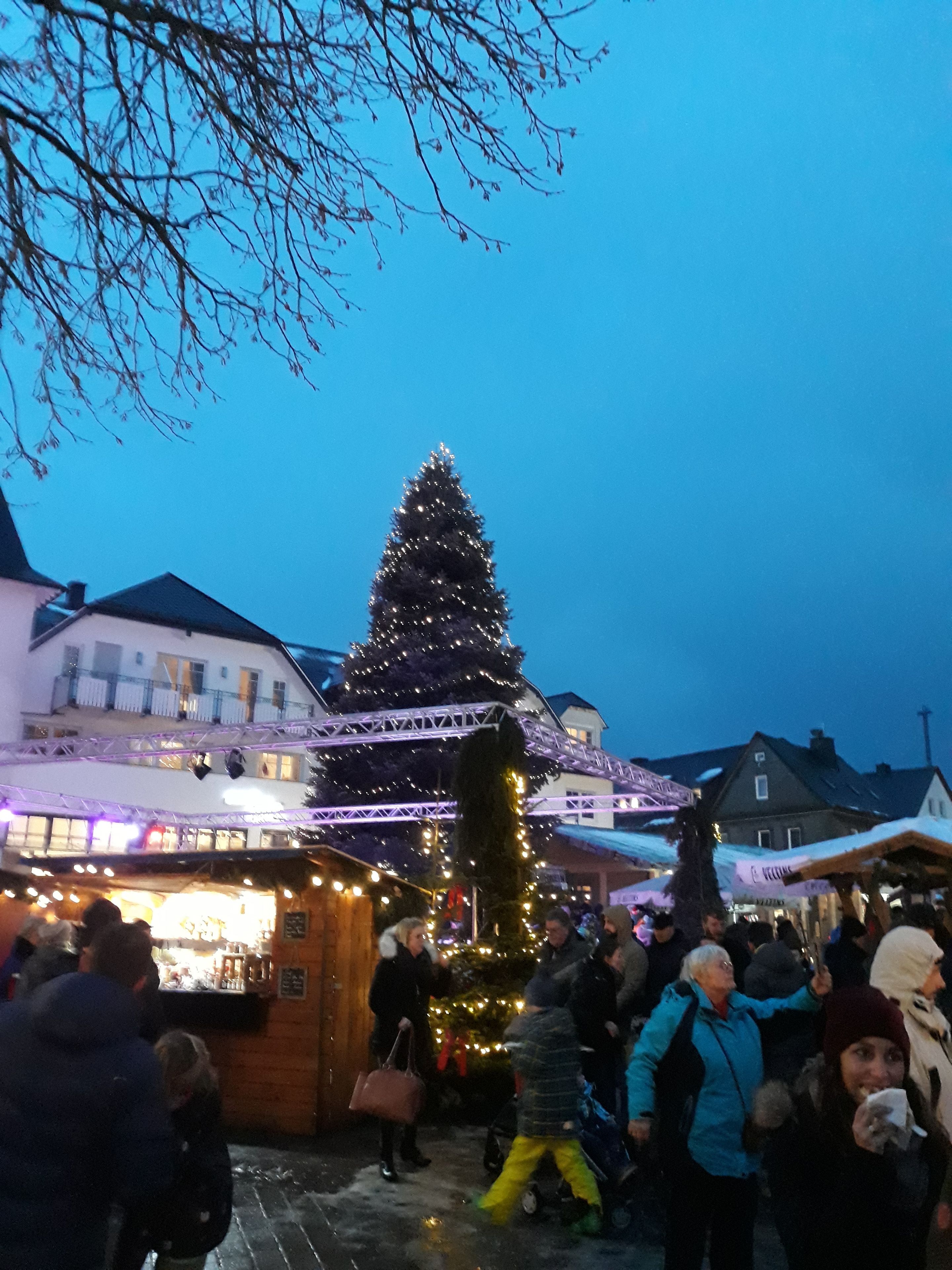 A traditional Christmas market with a decorated Christmas tree and stalls.