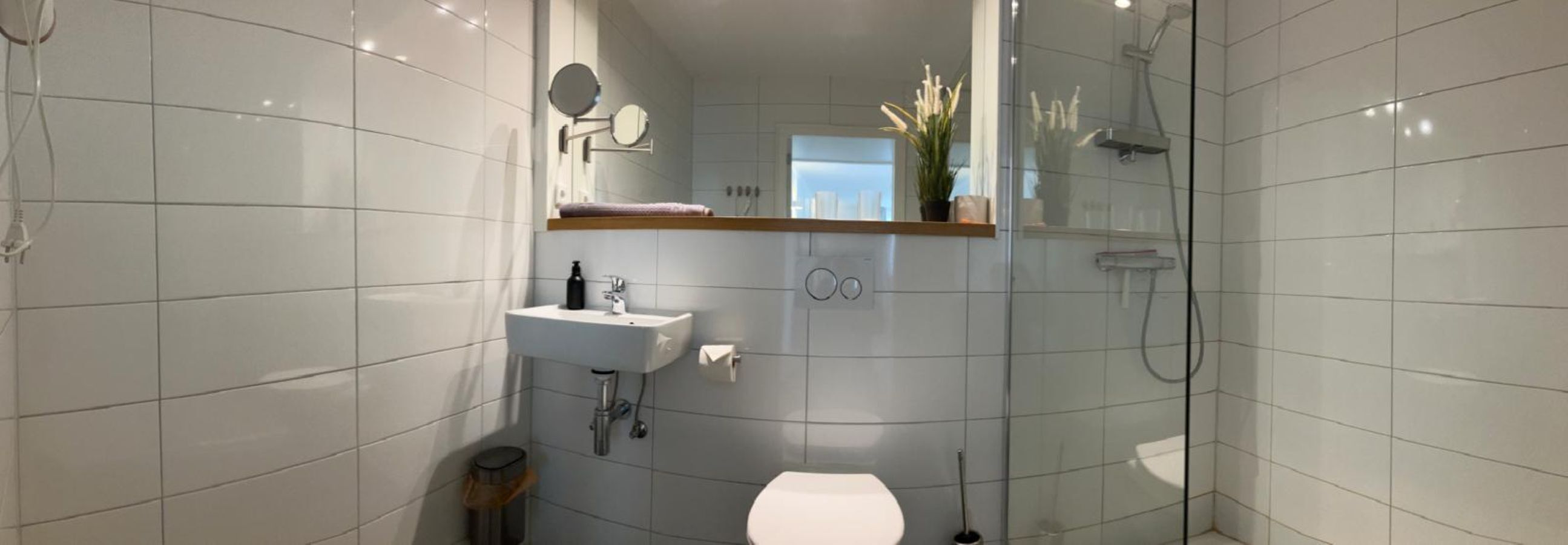 A modern bathroom with a glass shower enclosure, a white sink, and a toilet.