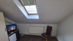 A room with a skylight, a television, a radiator, and a chair.