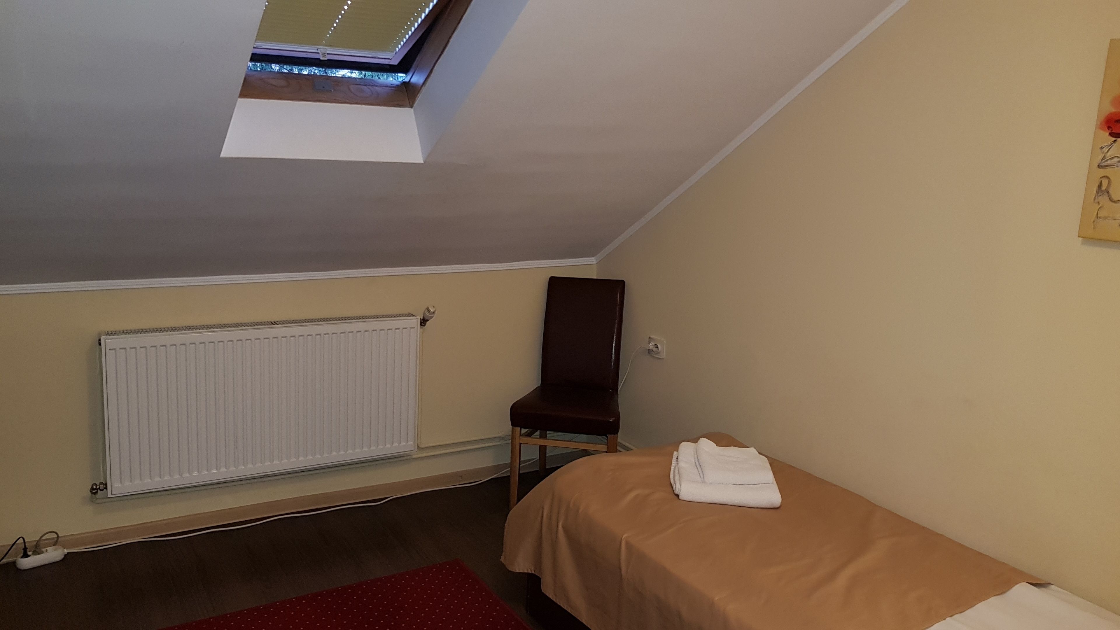A small, single-bed room with a skylight, a radiator, a chair, and a red rug.