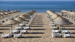 Immagine non classificata, 5 di 65, pulsante