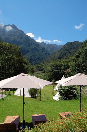 Garden - Nature inn Madeira - Glamping (Porto Moniz)