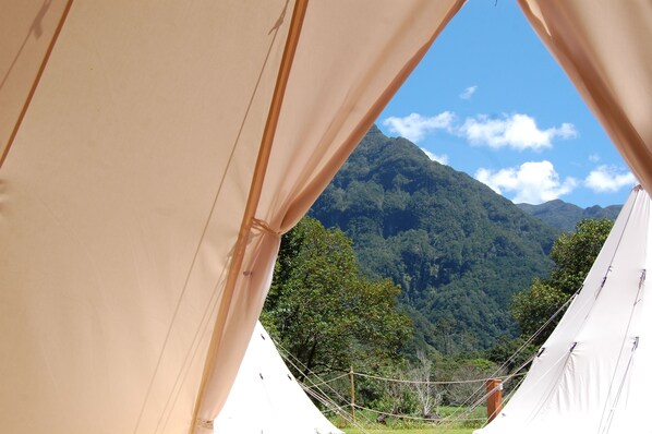 Tent | Premium bedding, iron/ironing board