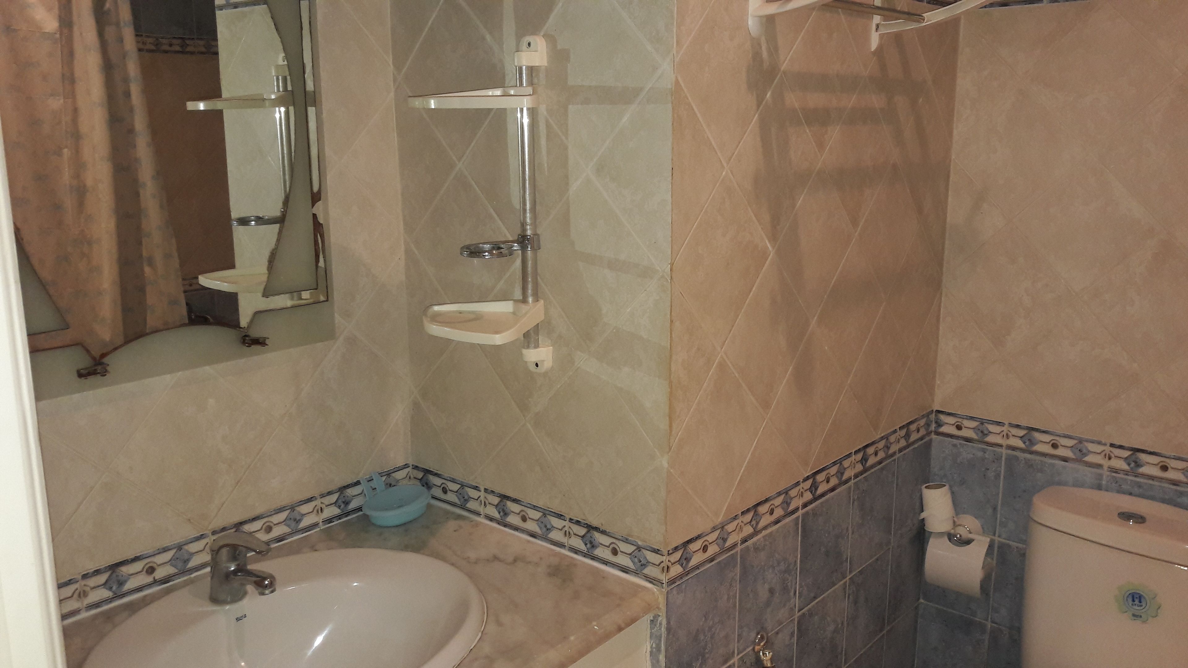 A bathroom with a sink, mirror, shower, and toilet.
