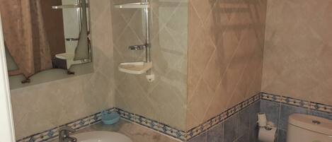 A bathroom with a sink, mirror, shower, and toilet.