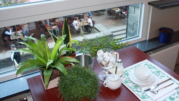 View from property - Hotel Römerhafen (Cologne)