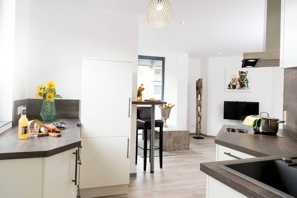 Comfort Apartment, 1 Double Bed, City View