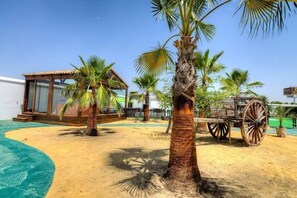 Property grounds - Cortijo Los Naranjos de San Juan (Las Cabezas de San Juan)