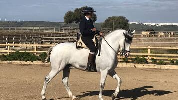 A person riding a white horse in an outdoor arena with a wooden fence and distant hills.