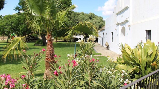 A white building with a garden in front, including a palm tree and various flowers. - Cortijo el Indiviso (Barbate)