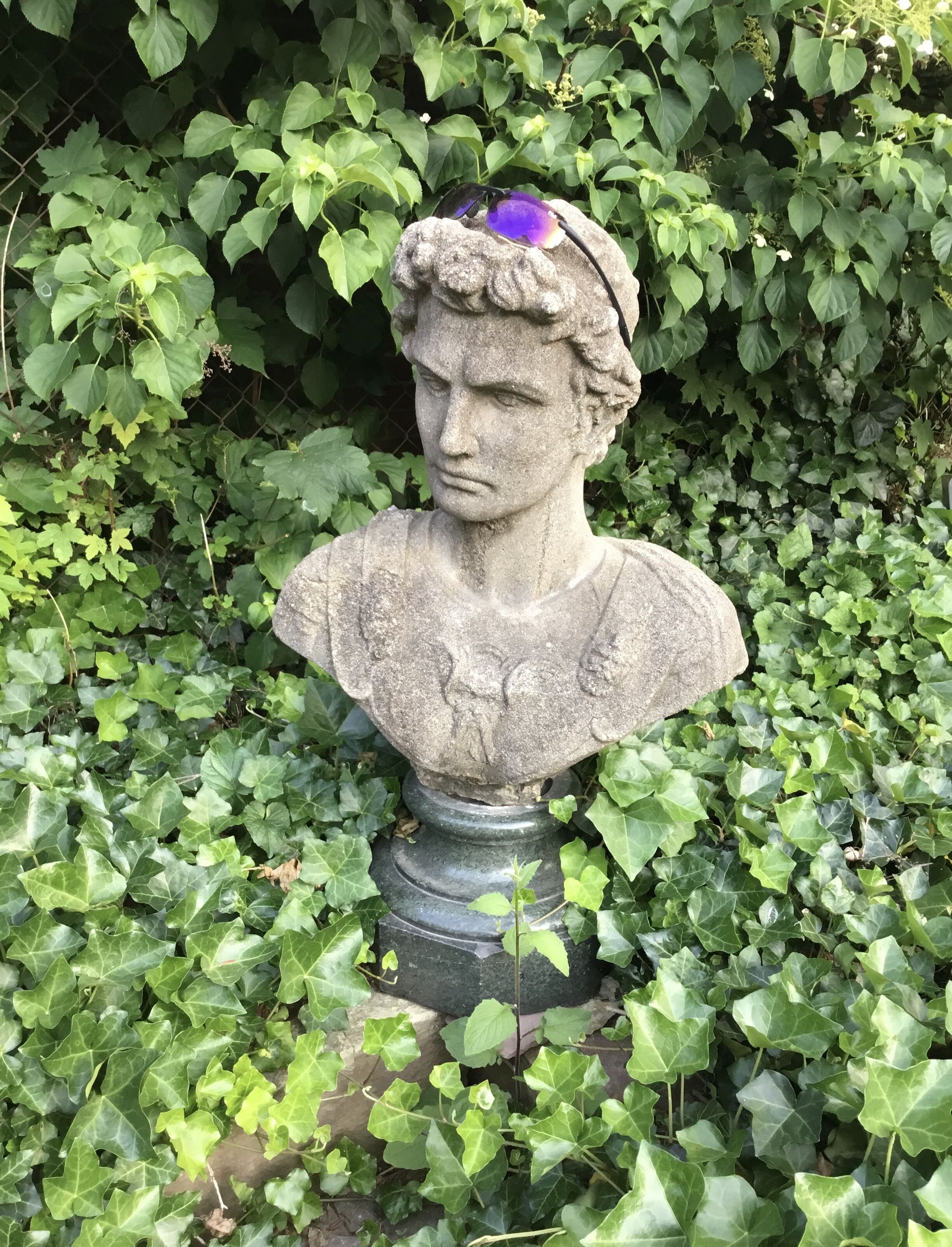 A stone bust sculpture surrounded by dense green foliage.