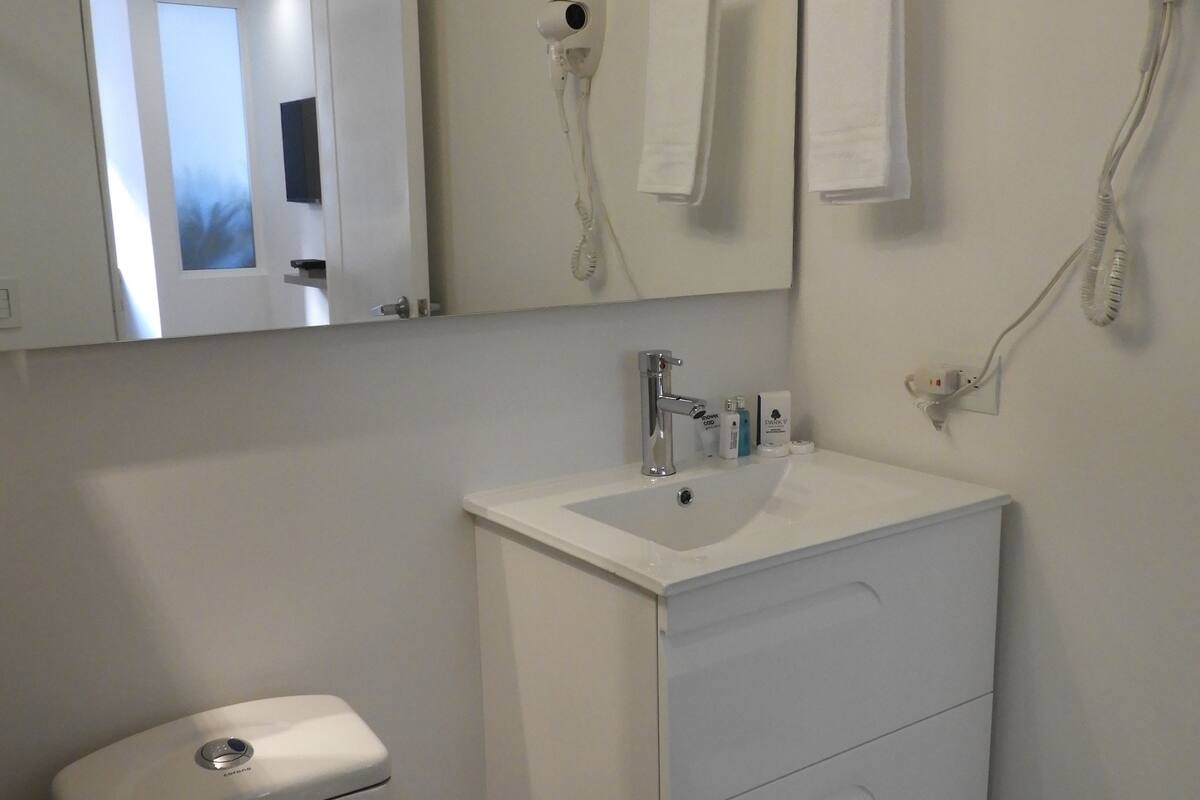 shower, free toiletries, hair dryer, towels