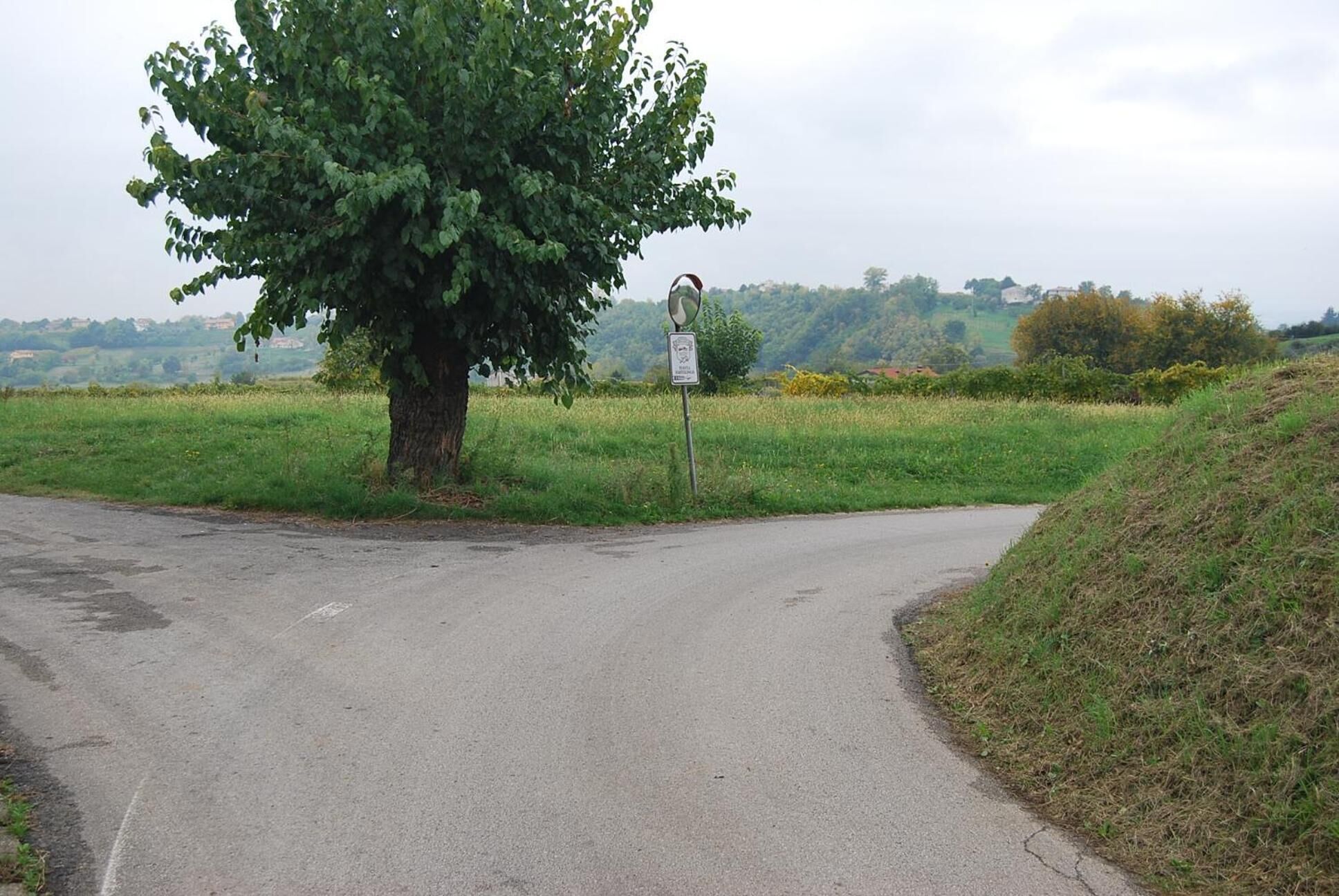 A rural road with a tree on the left and a signpost in the distance.