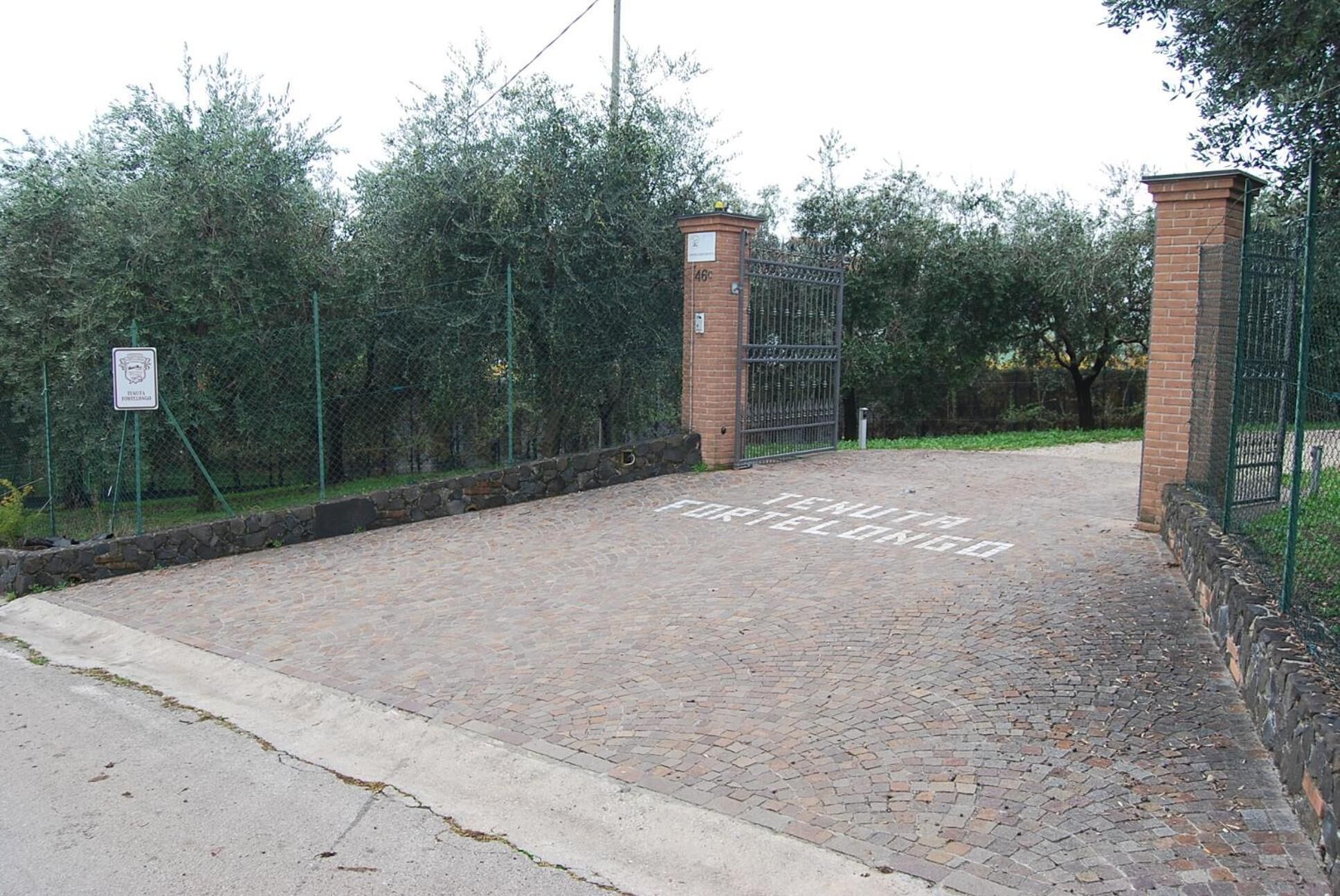 Une allée dallée, agrémentée d’un portail en métal et de piliers en briques, le tout entouré de verdure.