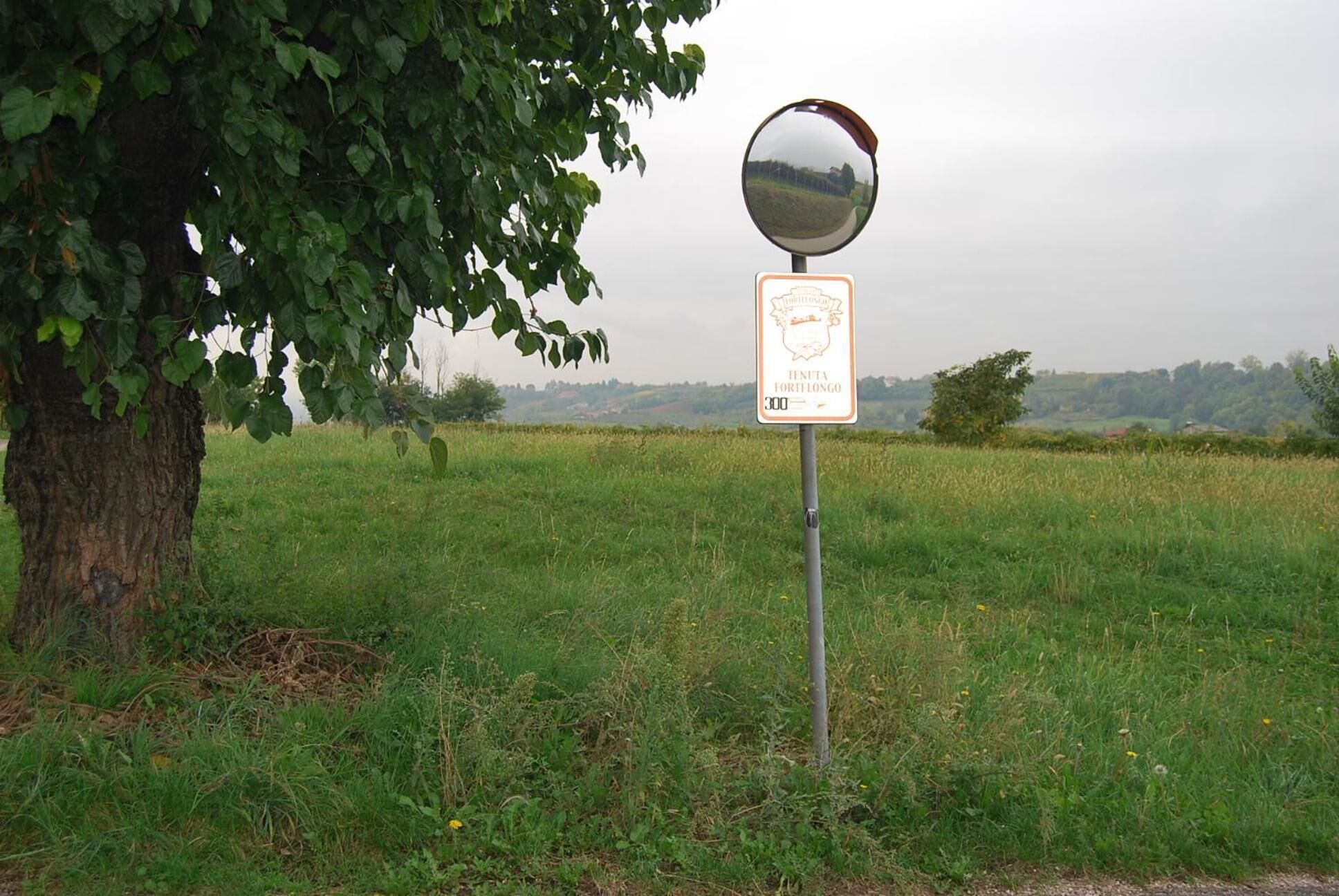 Un panneau orné d’un écusson et portant l’inscription « TENUTA FORTELONGO » et le chiffre « 300 » en dessous, fixé sur un poteau surmonté d’un miroir rond, le tout se dressant au milieu d’un paysage rural avec un arbre et un champ ouvert.