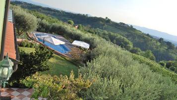 Outdoor pool, open 8:30 AM to 8:30 PM, sun loungers