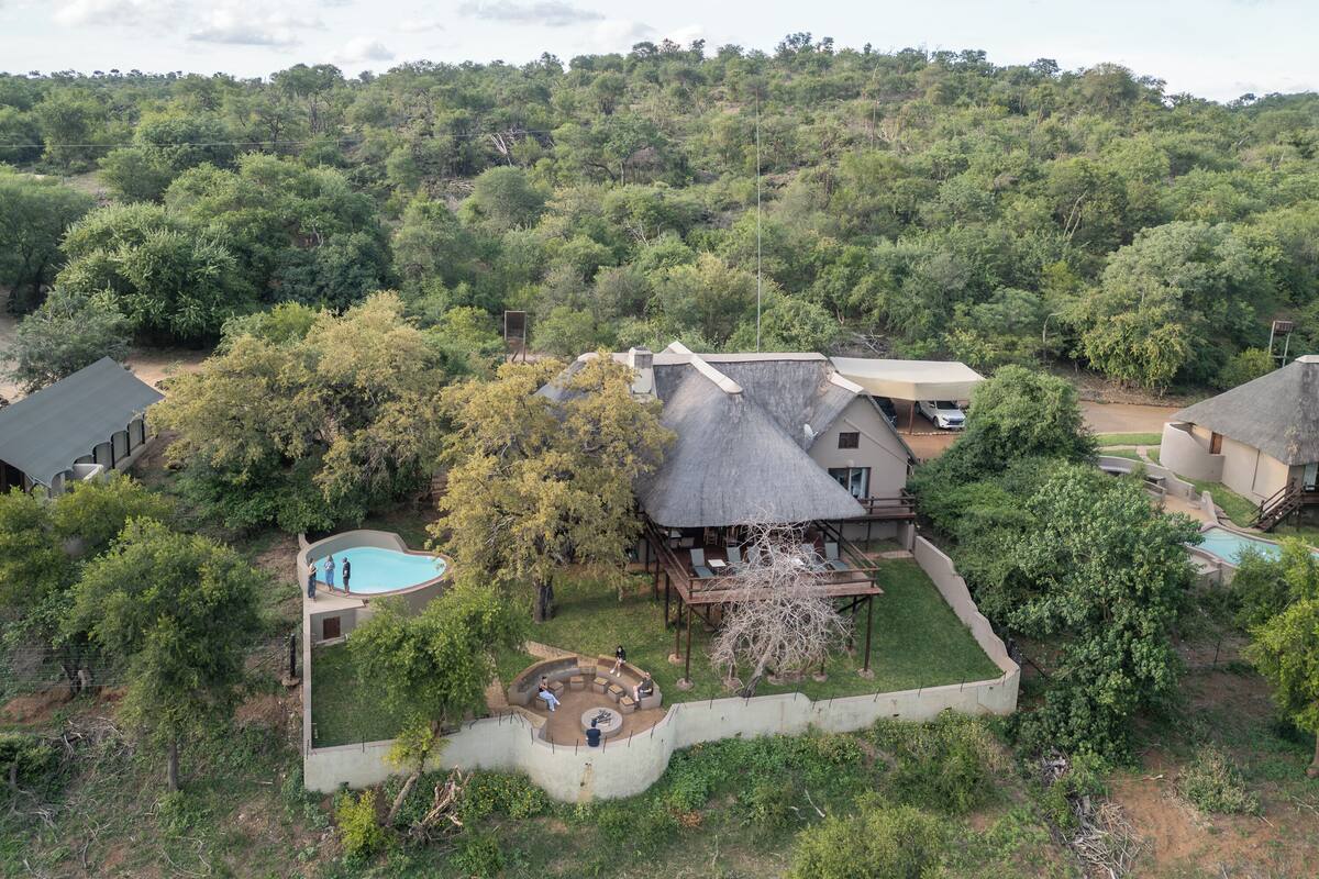 A secluded resort with a swimming pool, a covered outdoor seating area, and a thatched-roof building surrounded by dense forest.