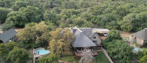 A secluded resort with a swimming pool, a covered outdoor seating area, and a thatched-roof building surrounded by dense forest.