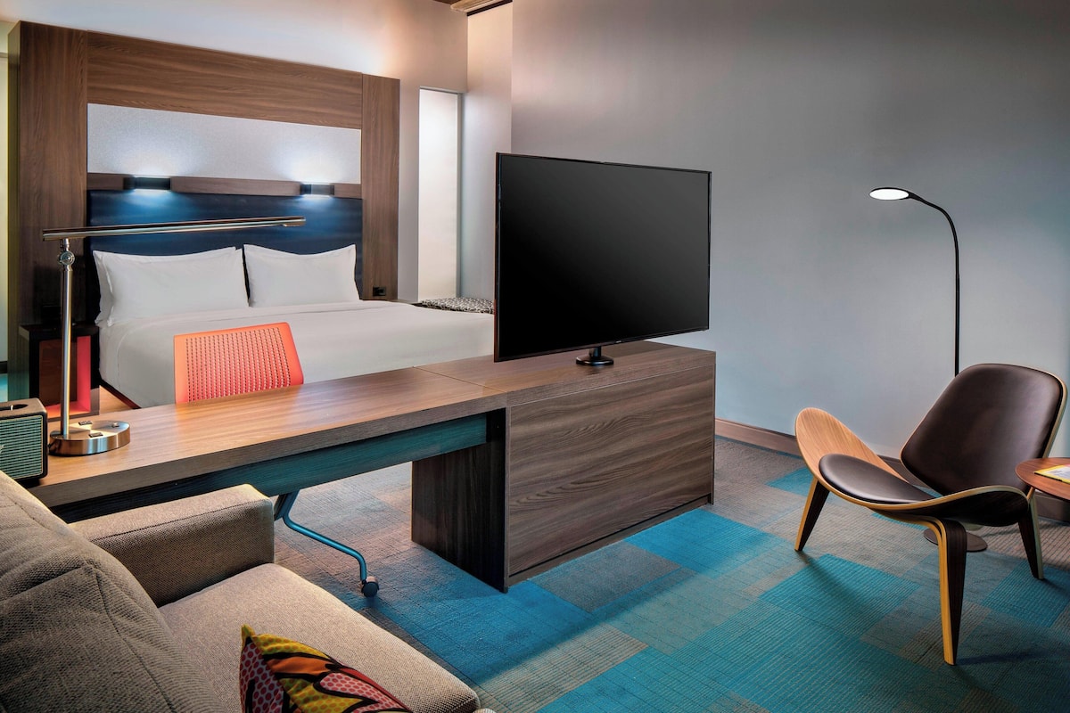 Phòng Suite, 1 giường cỡ king và sofa giường | Phòng khách | TV màn hình phẳng 48-inch có truyền hình vệ tinh, TV, Netflix