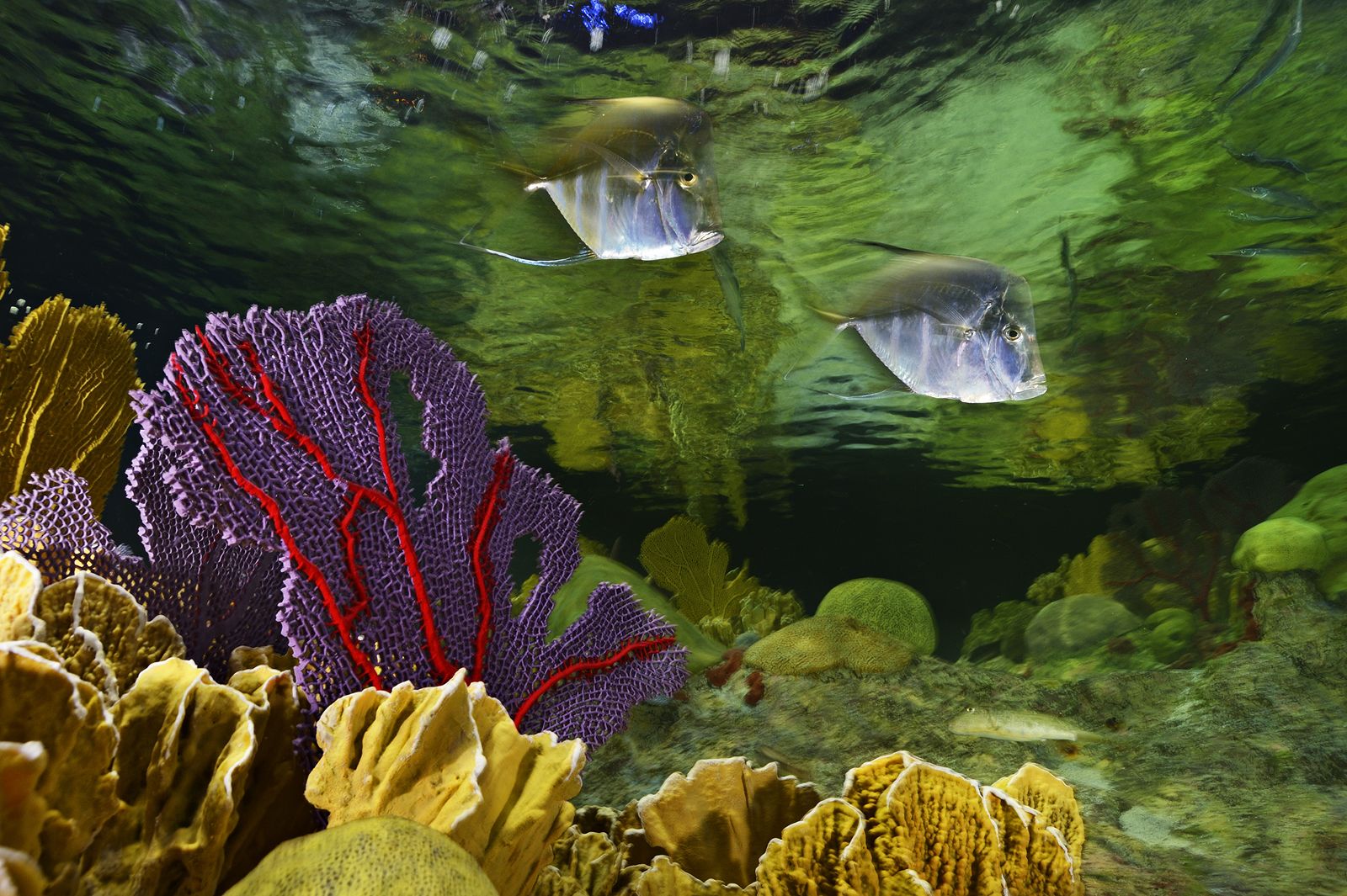 Photo - Courtyard Boston Downtown/North Station