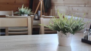A wooden dining table with a white pot of green plants.