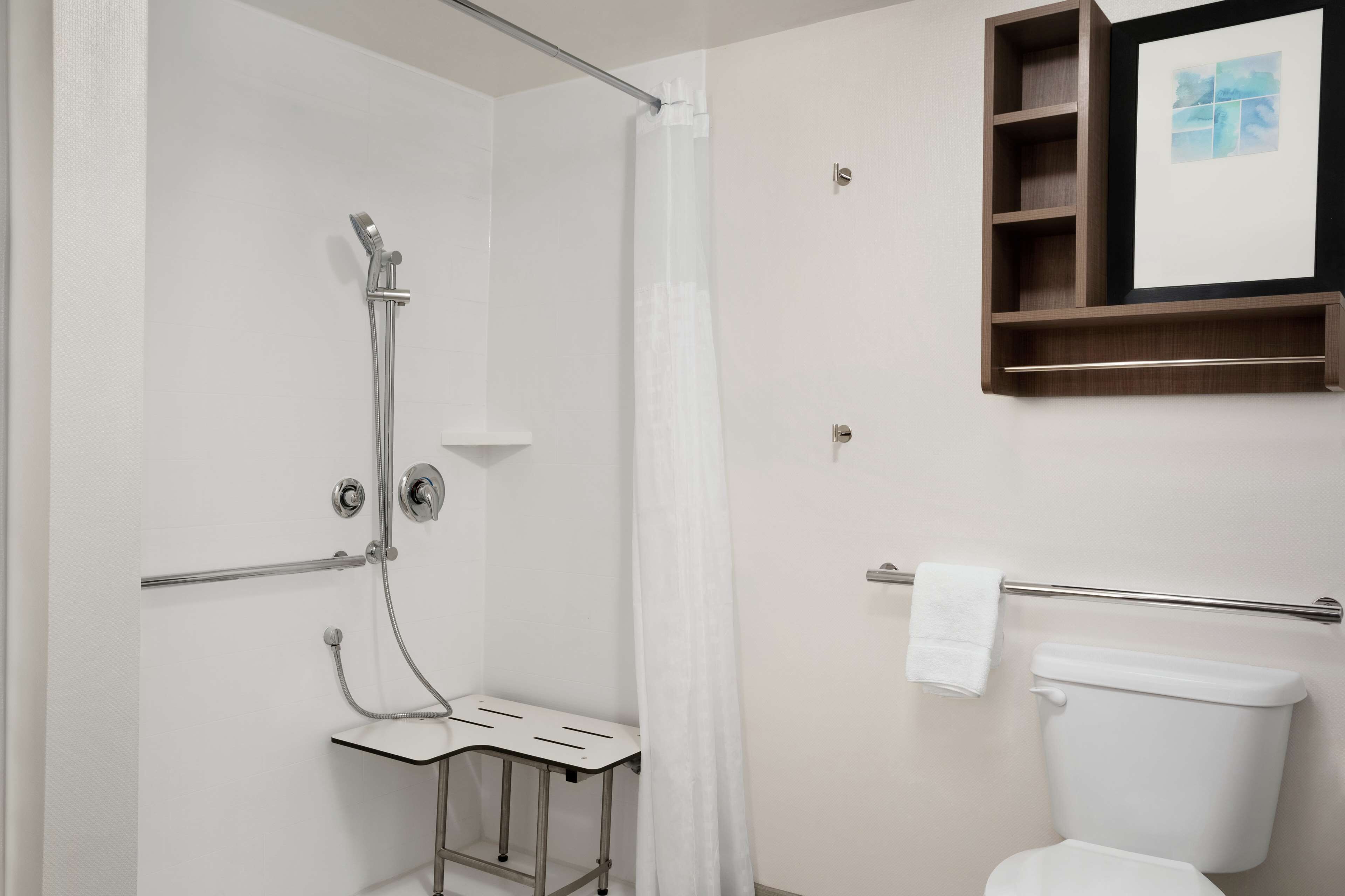 A bathroom with a shower, toilet, and a shelf with a picture.