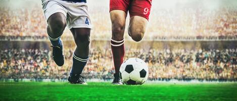 Two soccer players in action on a field with a crowd in the background.