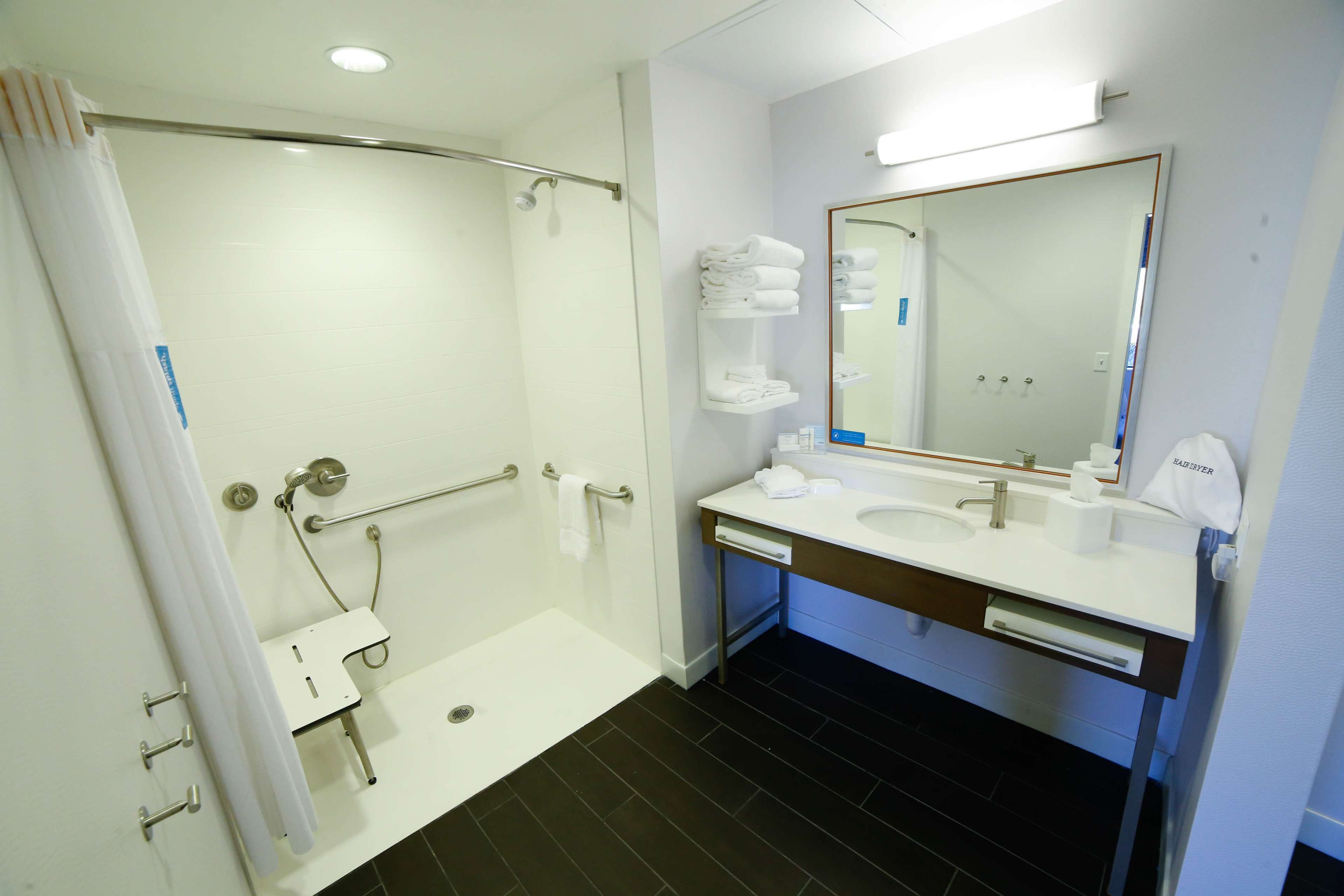 studio, 1 king bed, accessible, non smoking (roll-in shower) | bathroom shower