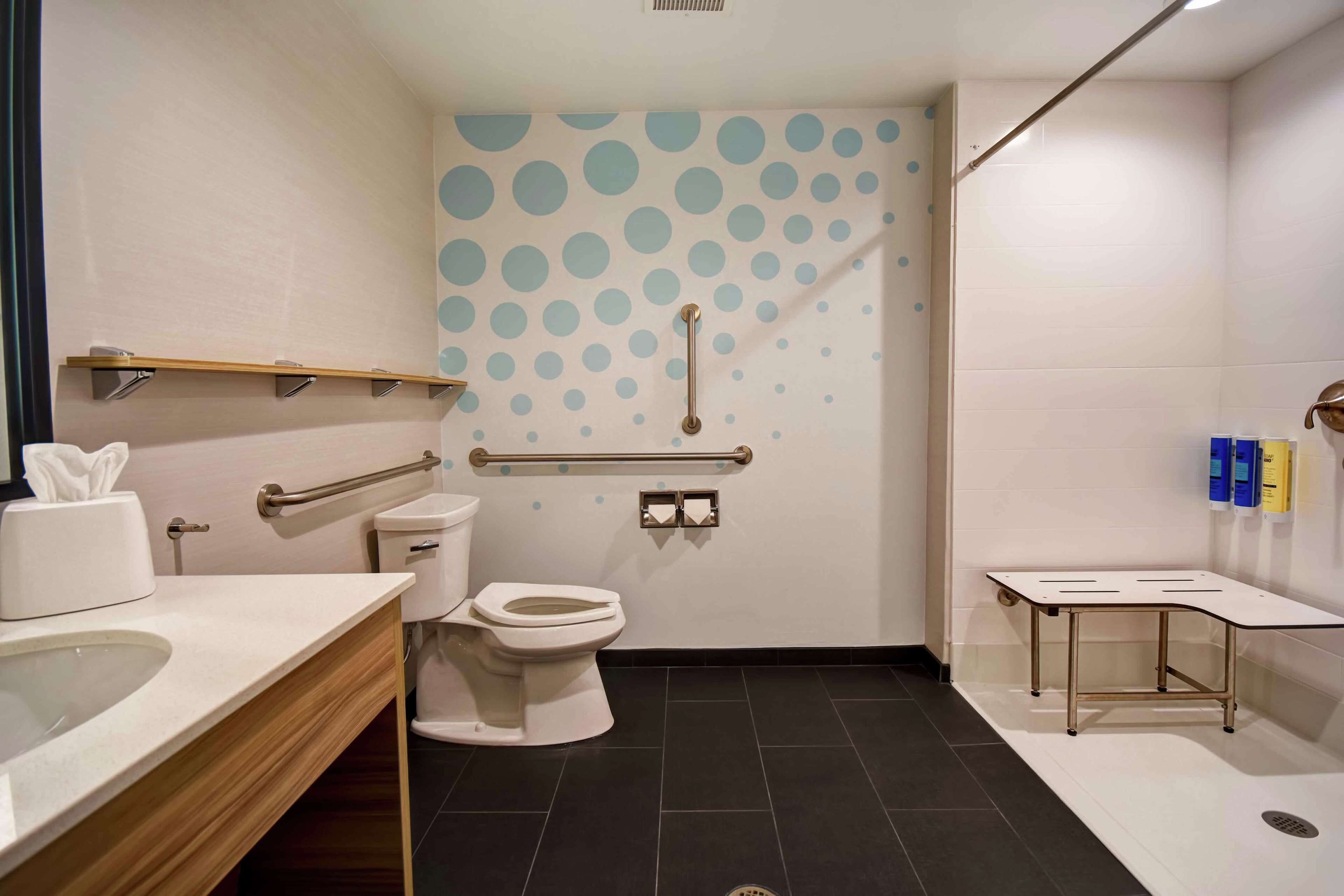 room, 1 king bed, accessible (hearing, roll-in shower) | bathroom shower